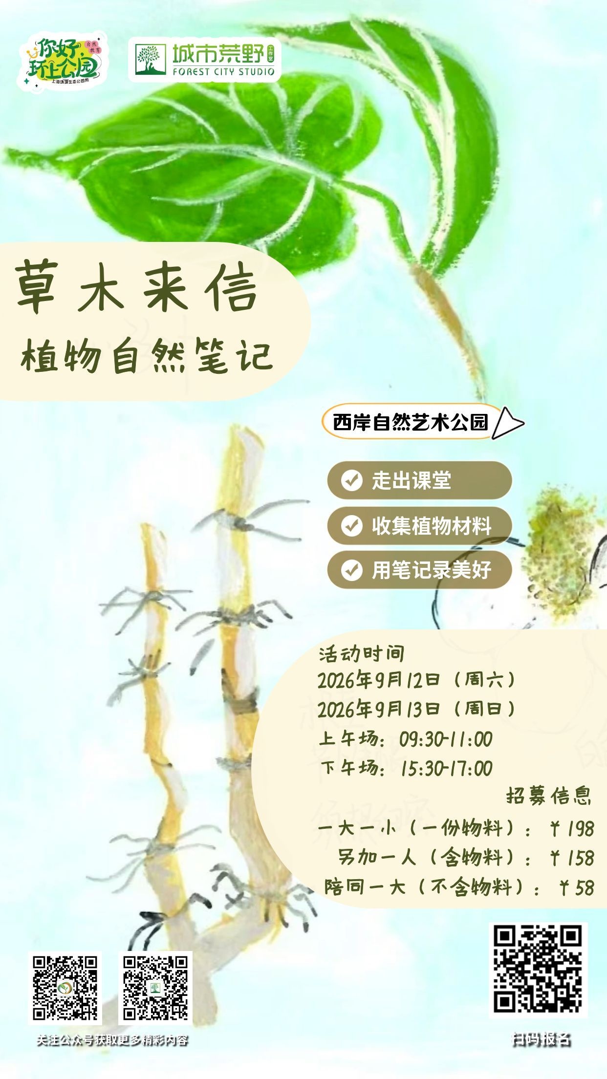 草木来信——植物自然笔记